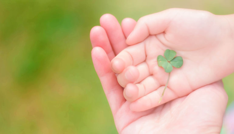 安全・安心の天然由来